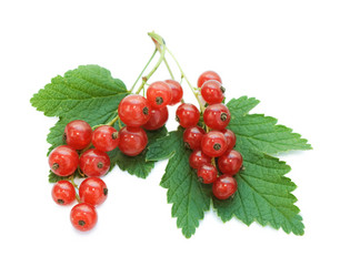 Similar image 433998