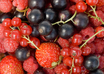 Similar image 434006