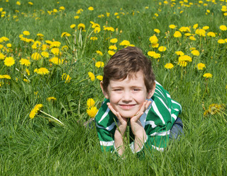 Similar image 434046