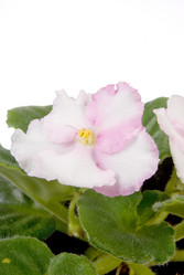 Similar image 434051