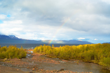 Similar image 434065