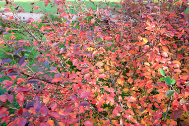 Similar image 434079