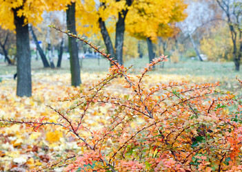 Similar image 434089