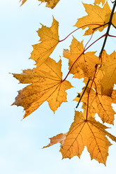 Similar image 434090