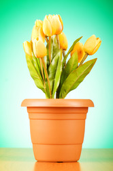 Similar image 434115