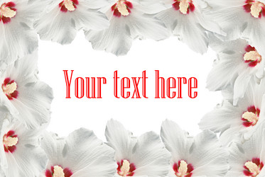 Similar image 434117