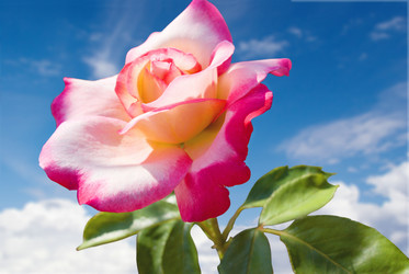 Similar image 434125