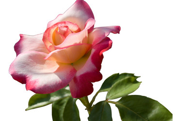 Similar image 434126