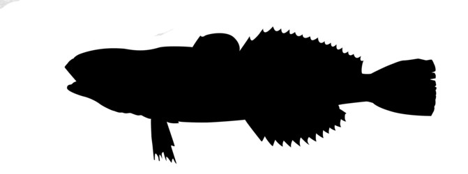 Similar image 434152