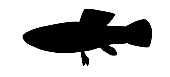 Similar image 434156