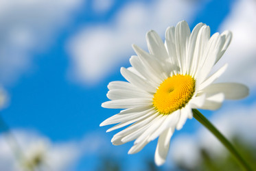 Similar image 434290