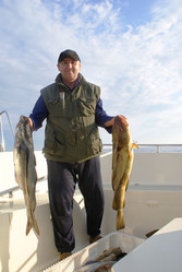 Similar image 434295