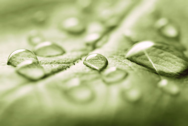 Similar image 434306