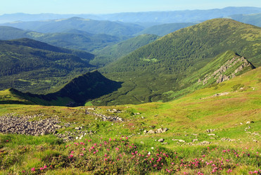 Similar image 434350