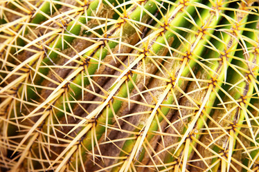 Similar image 434457