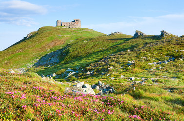 Similar image 434479