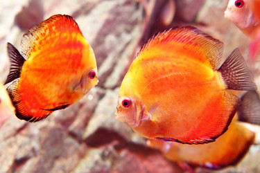 Similar image 434510