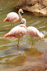 Similar image 434539