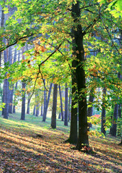 Similar image 434597