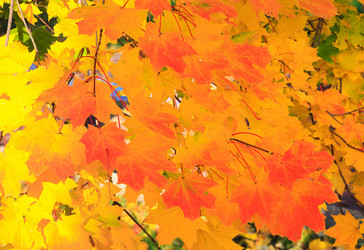 Similar image 434605