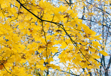 Similar image 434608