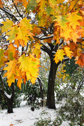 Similar image 434609