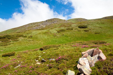 Similar image 434642