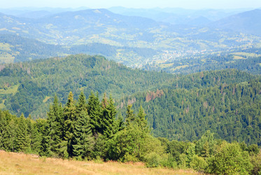 Similar image 434646