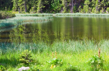 Similar image 434648