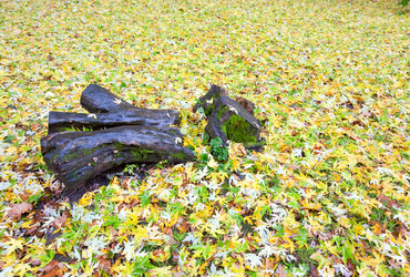 Similar image 434679