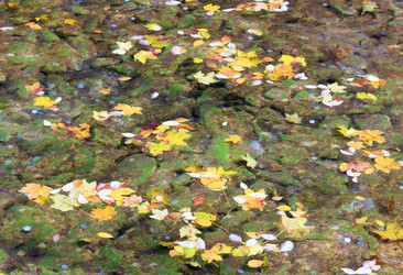 Similar image 434684