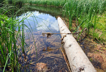 Similar image 434726