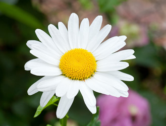 Similar image 434729