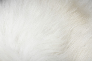 Similar image 434784