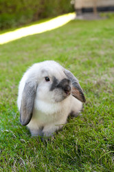 Similar image 434789