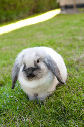 Similar image 434790