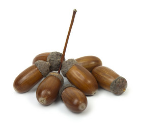 Similar image 434791