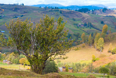 Similar image 434795