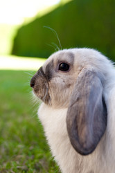 Similar image 434796