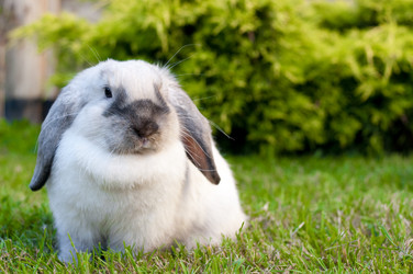 Similar image 434797