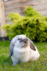 Similar image 434799