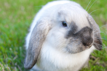 Similar image 434801