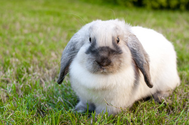 Similar image 434804