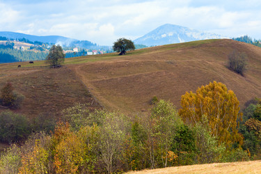 Similar image 434808