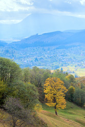 Similar image 434810