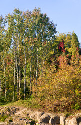 Similar image 434836