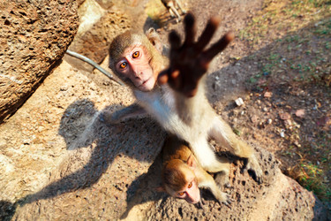 Similar image 434860