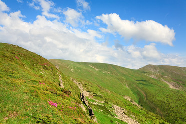 Similar image 434905