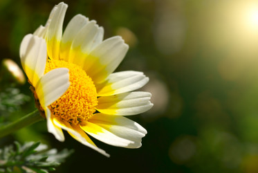 Similar image 434913