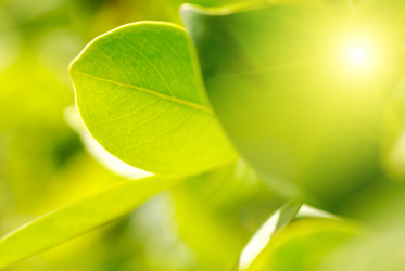 Similar image 434914